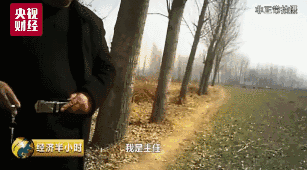 波多野结衣一区