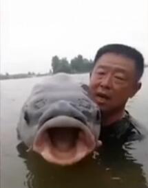 欧美乱大交