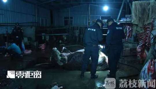 色情 电影 在线 观看