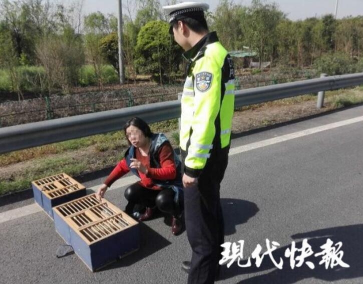 精品免费