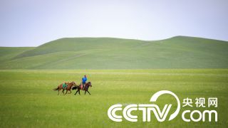 哪些家常菜有家的味道？每天做几道给家人尝尝吧！