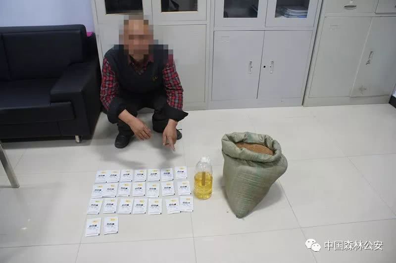 5g天天爽