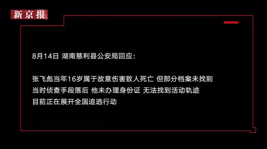 白石真琴