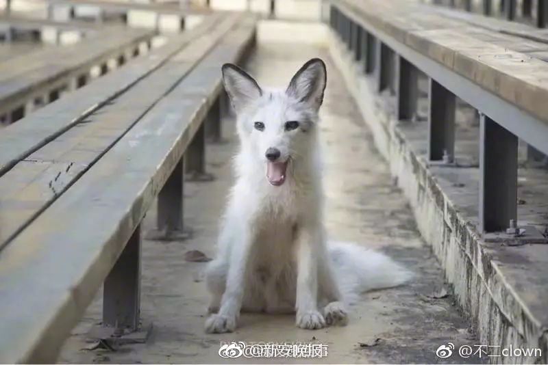免费黄片视频