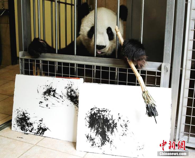 www污污污