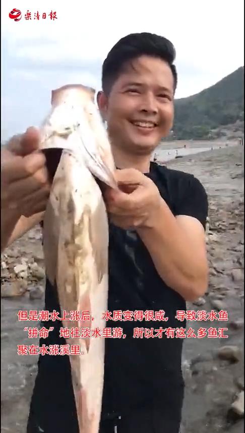 久久久婷婷