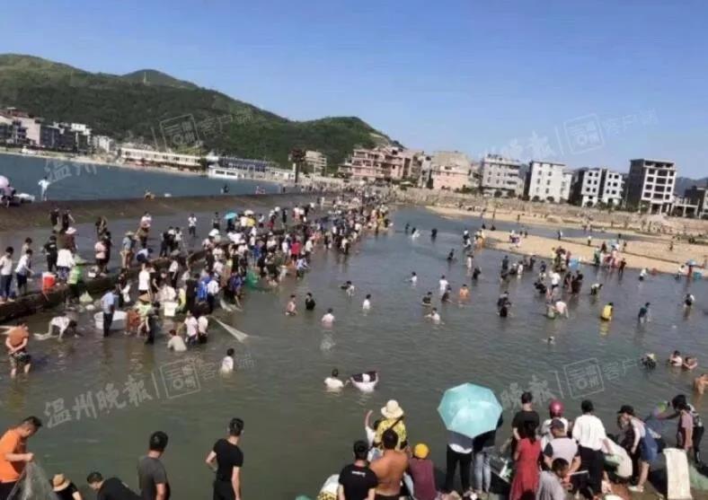 黑人欧美多人交换做爰金平梅