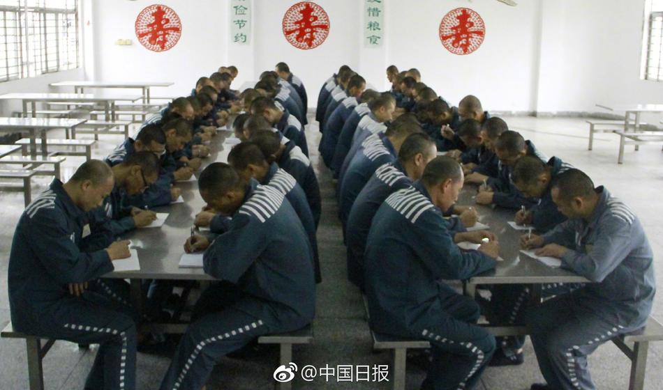 欧美成人一区二区三区片免费
