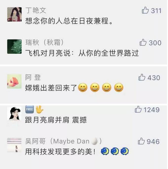 正能量你懂我意思你会回来感谢我的意思是樱花