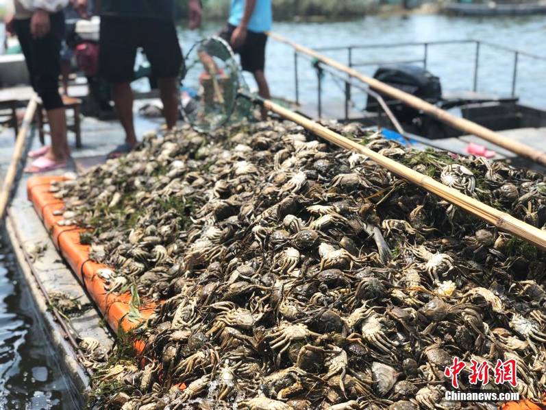 當選上賽季法國最佳球員，姆巴佩：很榮幸獲獎，感謝隊友和球迷