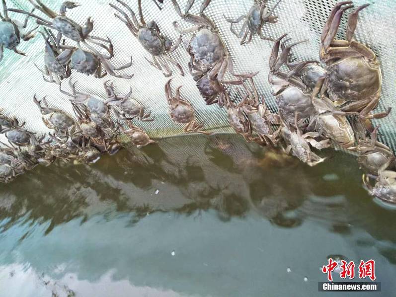 非洲Z00狂插老太婆逼