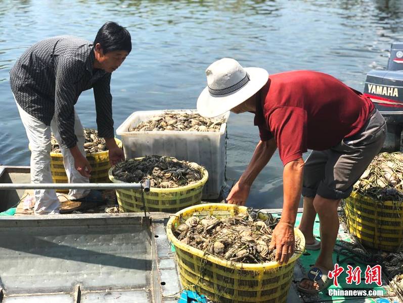 欧美激情片免费