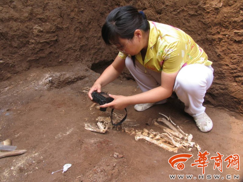 黄色高清视频无码网站