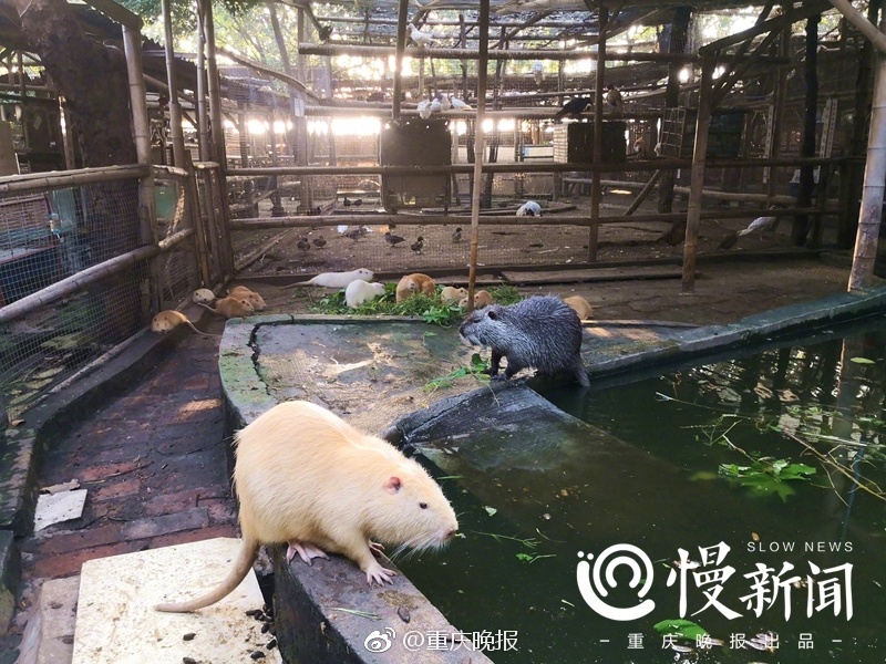 李蓉蓉