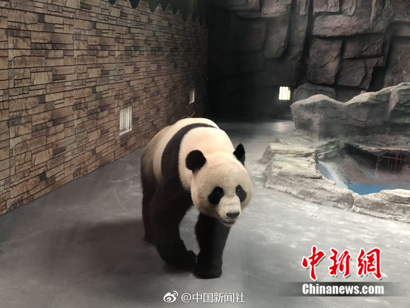 露阴毛