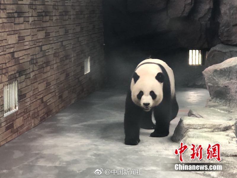 婷婷精品