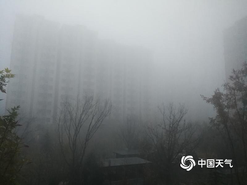 三级成年人生活片