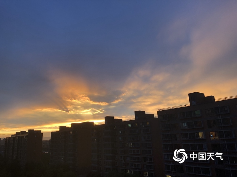 欧美人一级片