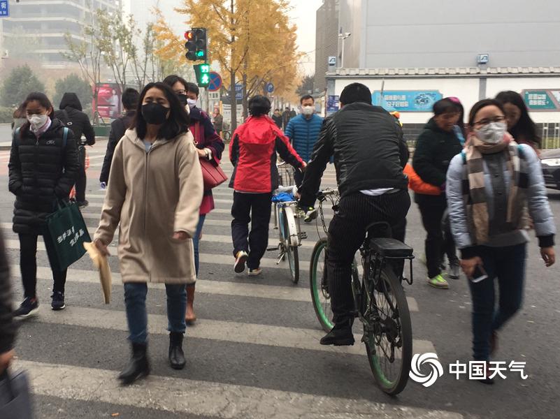 黄色网站胸