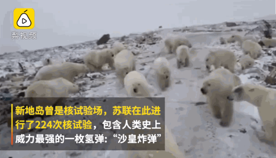 三级黄色片三级