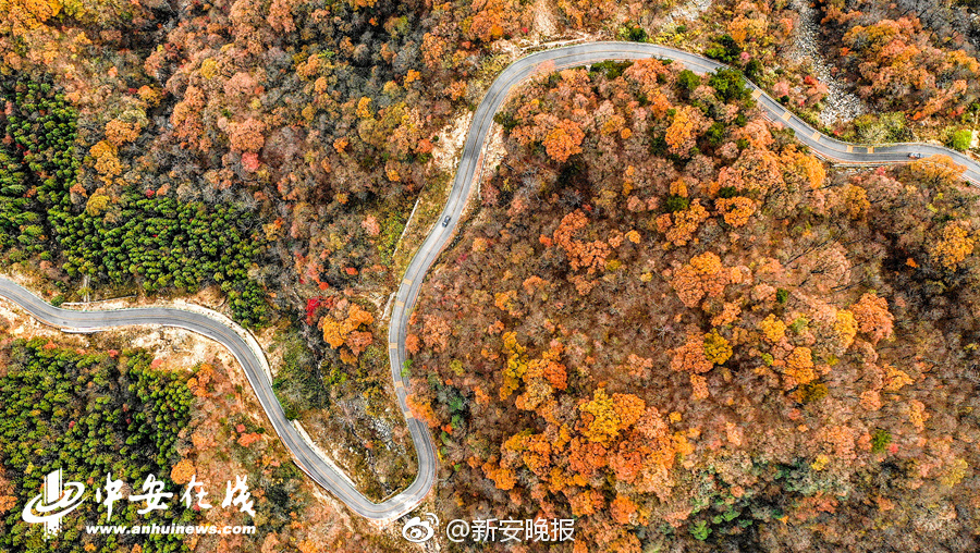 爆 白丝粉嫩  喷水