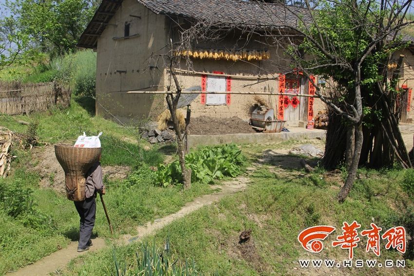 簧片在线免费一区