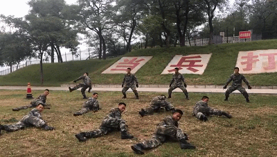 和懒散的白毛妹妹纸巾盒