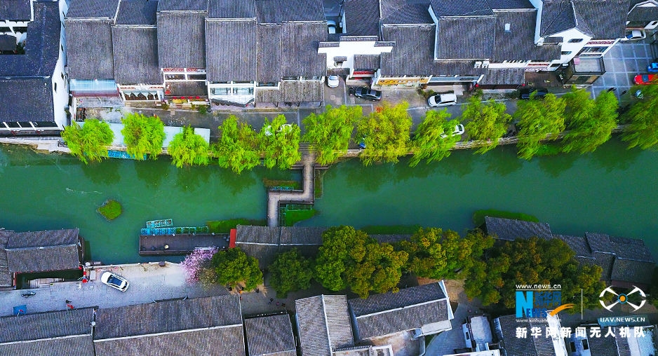 无码范冰冰性爱视频