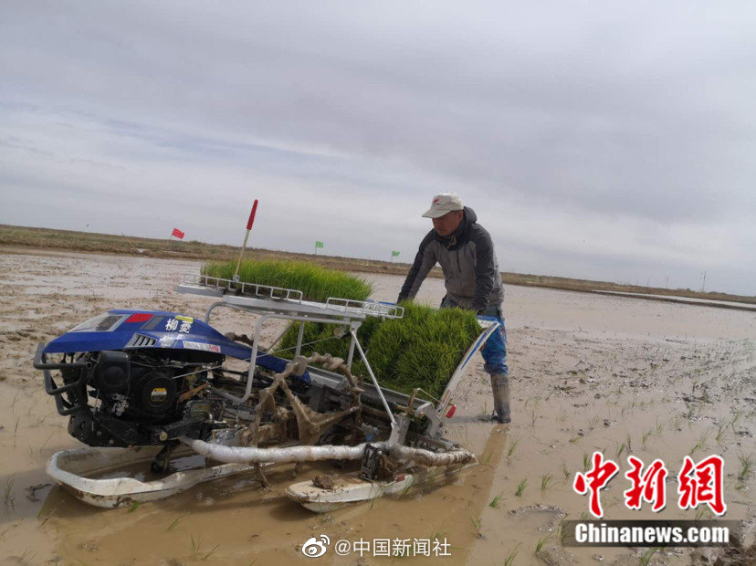 免费 黄色 视频 在线 观看