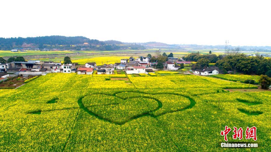 四虎最新网站