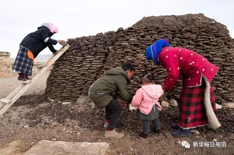 鲁大师在线看免费观看电视剧