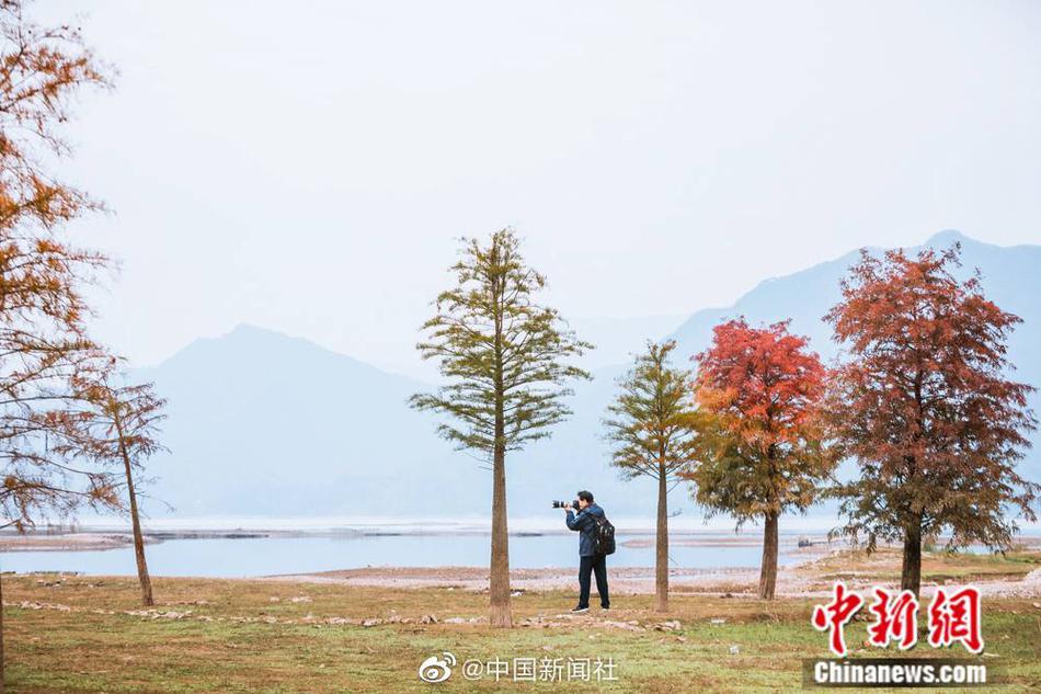 秋霞三级片