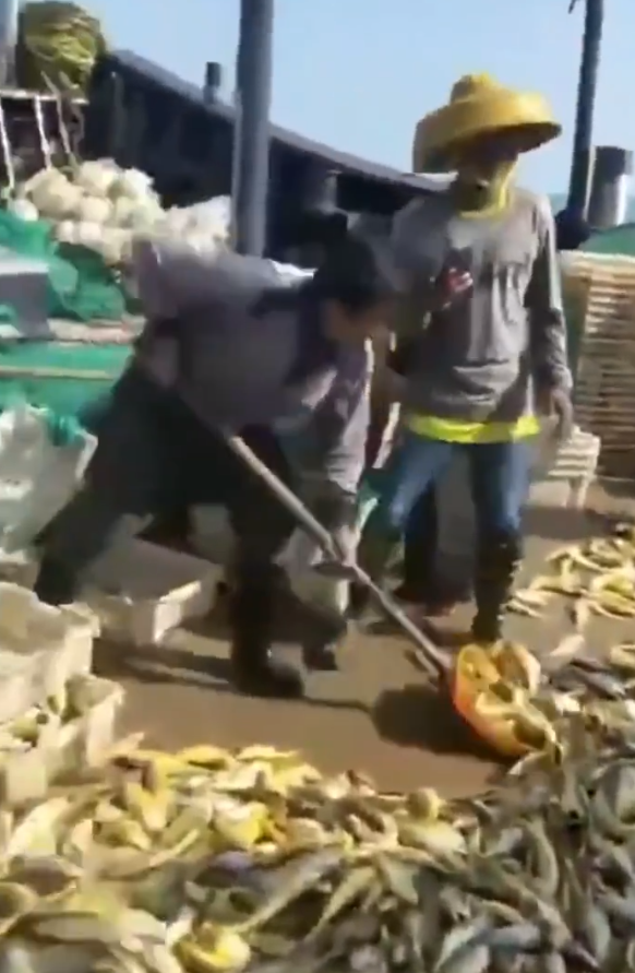 专操老女人