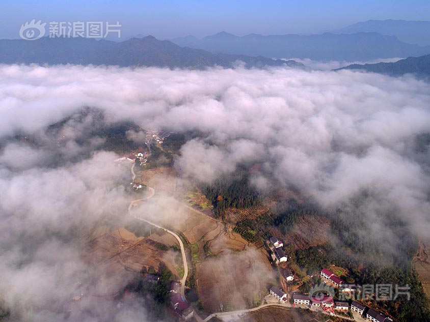 黄色 视频 免费 看