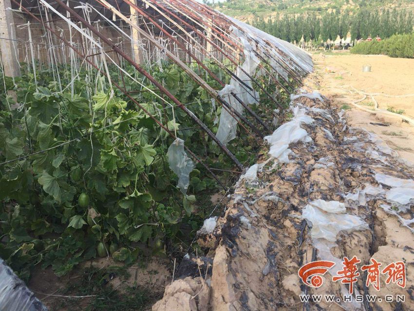 无尽 裸体 白丝 动漫