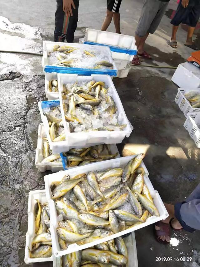 黄暴淫色Av网