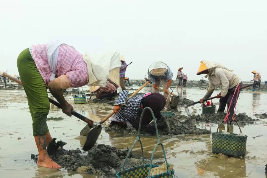 岳女二人名器共侍一夫视频