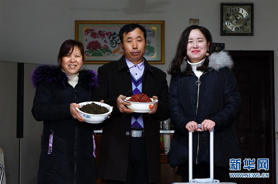 黄视频网页