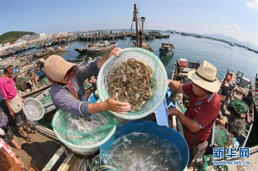 上海试管代怀医院排行榜_上海42岁输卵管不通还能做试管吗高龄试管生子的条件和方法