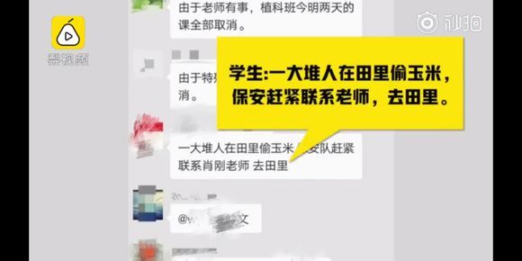 范冰冰和外国Hello么一级三级片