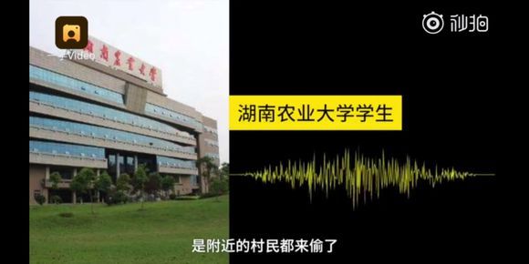 欧美性生活无码视频免费