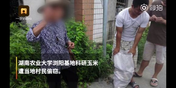 乙ozosI重口另类女人z