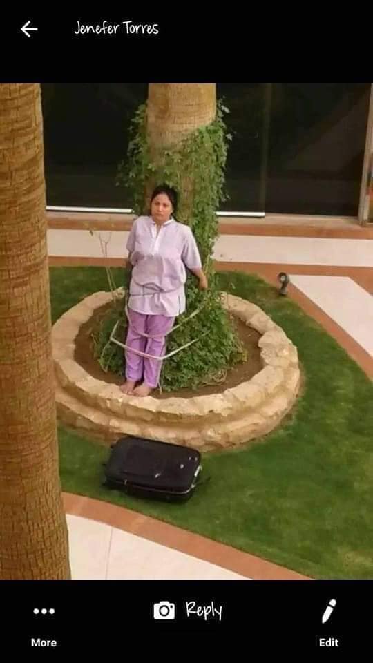 成人黄色影视