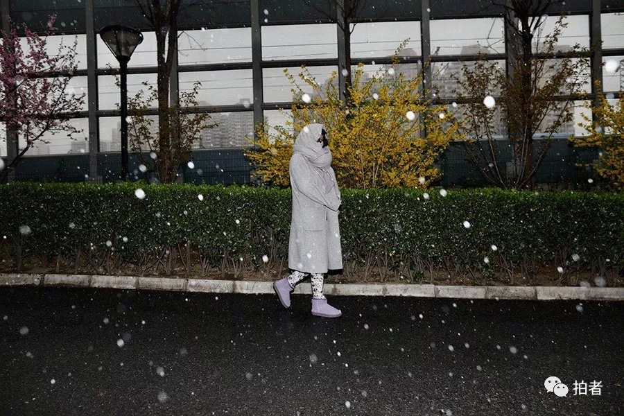美女胸又黄又
