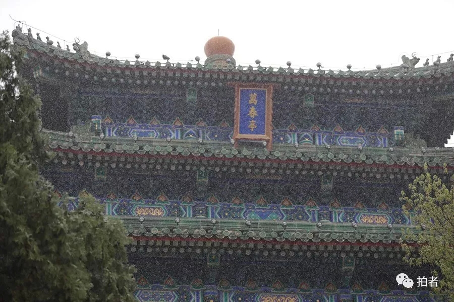 天天伊人