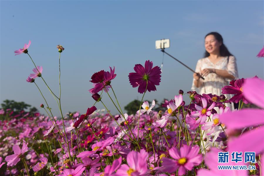 中国美女老师色情片