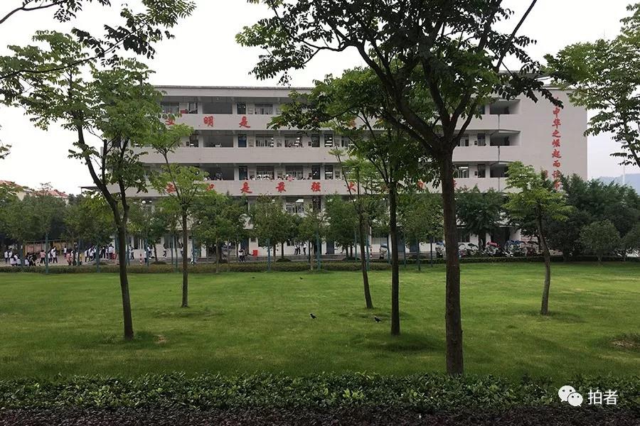 美女日逼视频网
