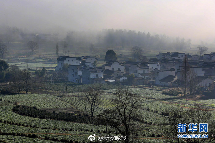 下载黄色网站全免费