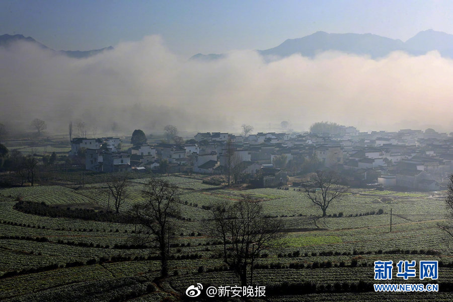 成品网站三级片