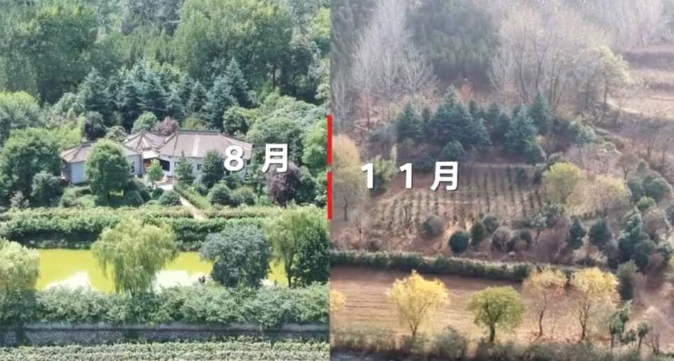 黄色视频频